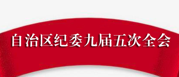 自治区纪委九届五次全会