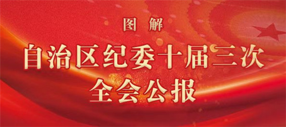 图解 | 自治区纪委十届三次全会公报